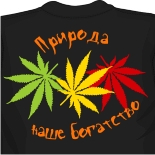 футболки цао records